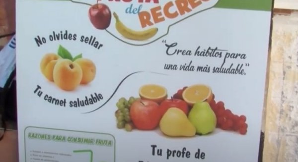 I.E.S. Fuente Lucena de Alhaurín el Grande obtiene el premio 'Vida Sana' en el Ámbito Educativo