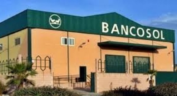 119 entidades públicas y privadas apoyan la labor social realizada por Bancosol durante la crisis sanitaria