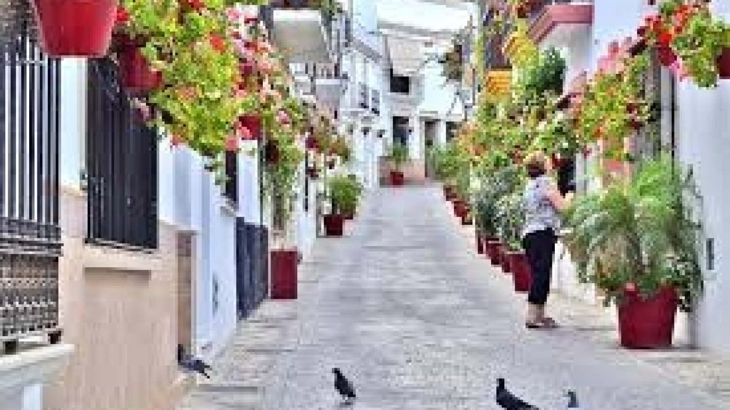 El Ayuntamiento de Estepona reabre las oficinas de Atención al Ciudadano en el antiguo Ayuntamiento