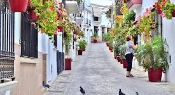 El Ayuntamiento de Estepona reabre las oficinas de Atención al Ciudadano en el antiguo Ayuntamiento