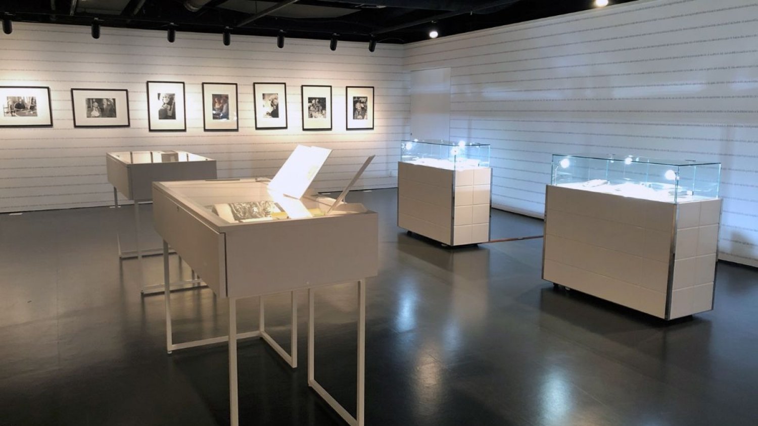 La exposición 