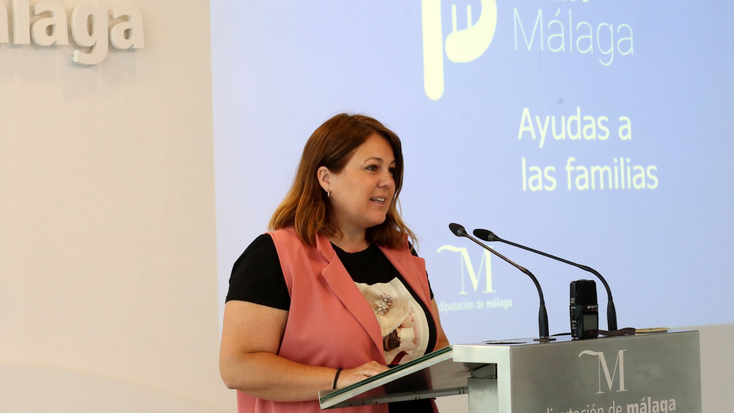 Diputación ayudará a más de 7.000 familias a través del Plan Málaga para la recuperación económica y social
