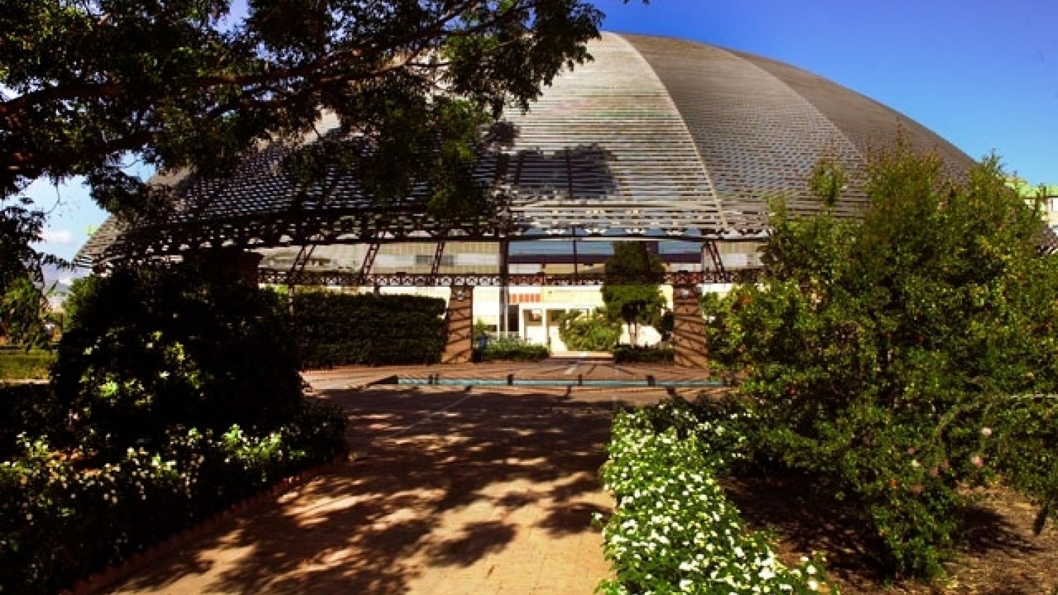 La UMA celebra el Día Mundial del Medio Ambiente con un reto sobre biodiversidad en el campus