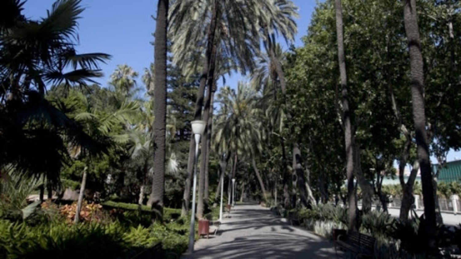 Málaga se une a la celebración del Día Mundial del Medio Ambiente bajo el lema 'La Hora de la Naturaleza'