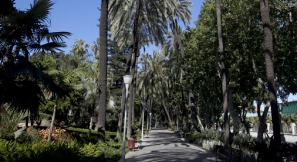 Málaga se une a la celebración del Día Mundial del Medio Ambiente bajo el lema 'La Hora de la Naturaleza'