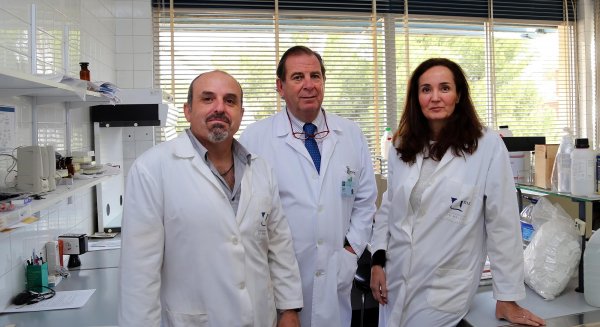 Expertos de la UMA elaboran una guía para una adecuada exposición solar durante el desconfinamiento