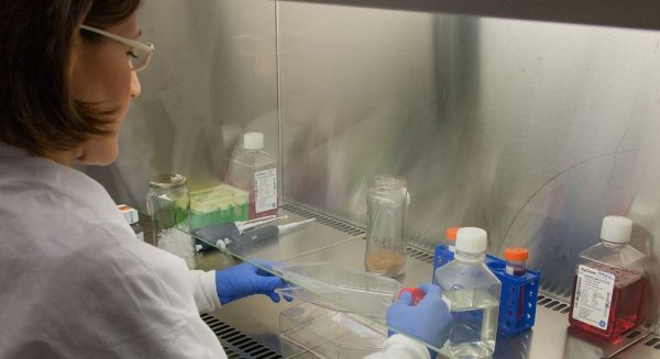 Salud inicia un ensayo clínico para probar la eficacia de Calcifediol en pacientes con COVID-19