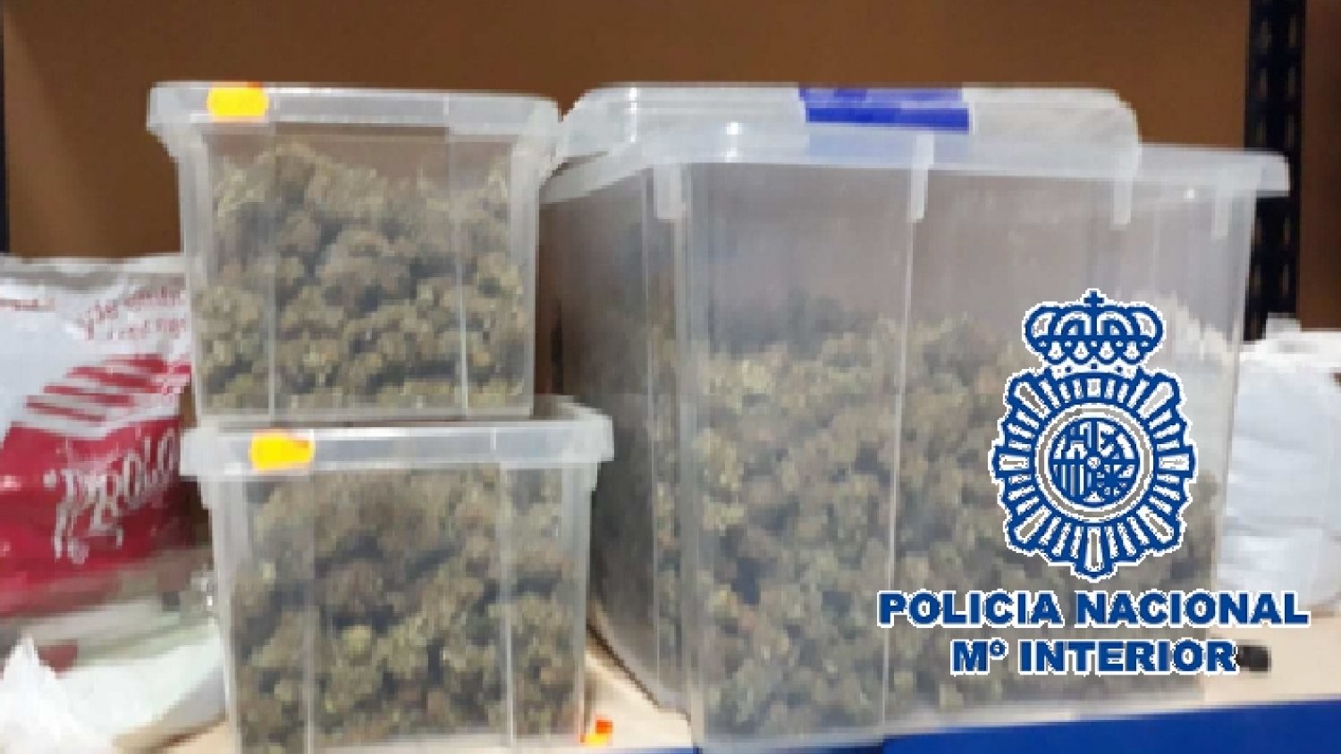 Desmantelan una plantación clandestina con 282 plantas de marihuana en un almacén de Cártama