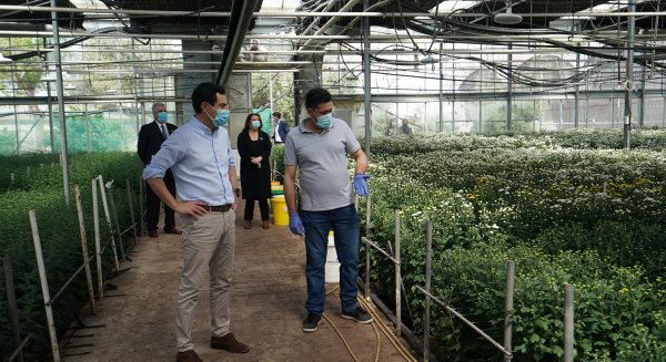 Moreno anuncia 19 millones de euros para compensar las pérdidas en el sector agroalimentario
