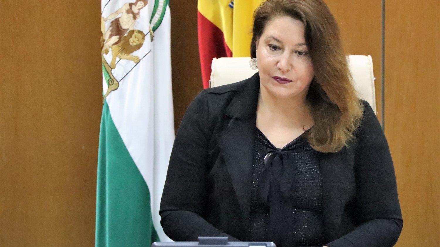 La Junta pide al Estado 