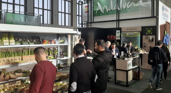Las exportaciones andaluzas de frutas y hortalizas crecen un 11% en los dos primeros meses de 2020