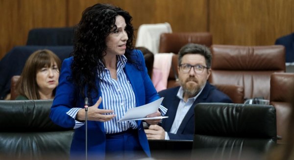 Un total de 1.335 familias de Málaga se benefician de la renta mínima en abril, un 238% más respecto a marzo