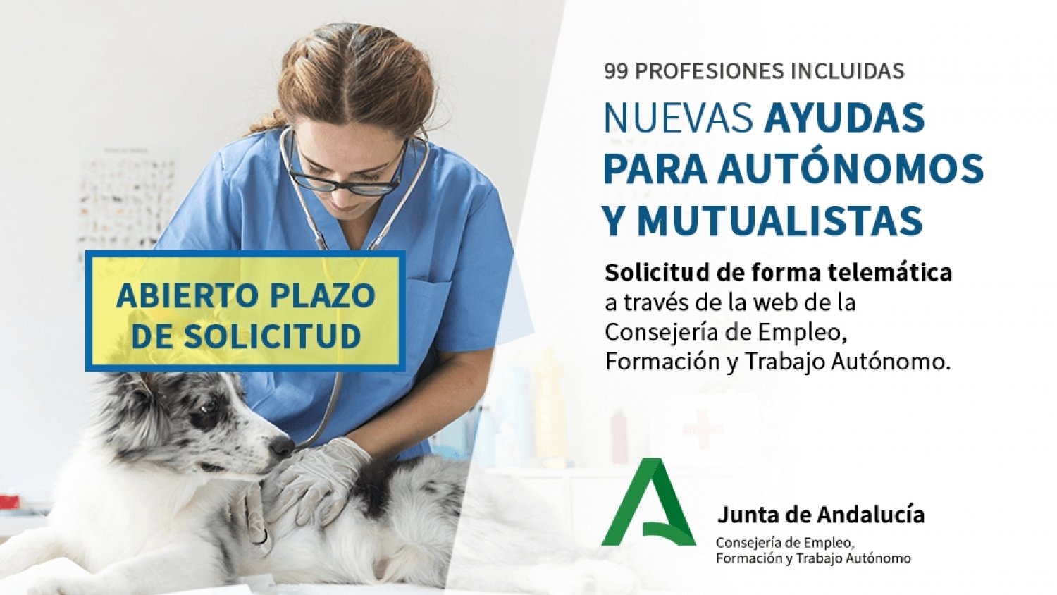 Empleo registra ya 9.728 solicitudes de autónomos malagueños para la ayuda de 300 euros