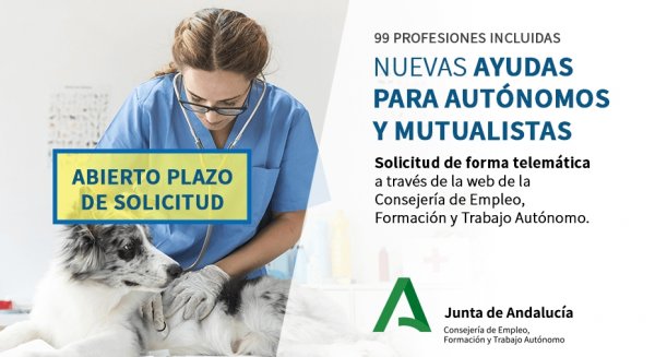 Empleo registra ya 9.728 solicitudes de autónomos malagueños para la ayuda de 300 euros