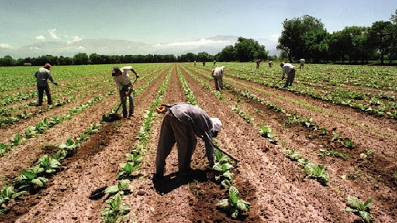 Ifapa formaliza 27 nuevos contratos y convenios público-privados en los primeros meses de 2020
