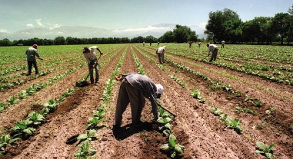 Ifapa formaliza 27 nuevos contratos y convenios público-privados en los primeros meses de 2020