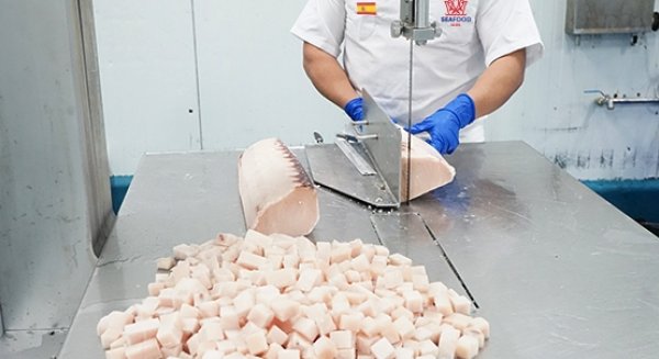 Una empresa malagueña dona 600 kilos de pescado congelado a comedores y entidades sociales