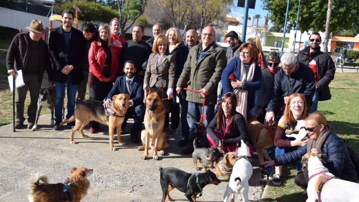 PSOE pide una línea de ayudas para familias con mascotas para frenar la entrega a las protectoras