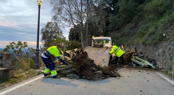 La Diputación restablece la entrada a Genalguacil tras un desprendimiento por las lluvias