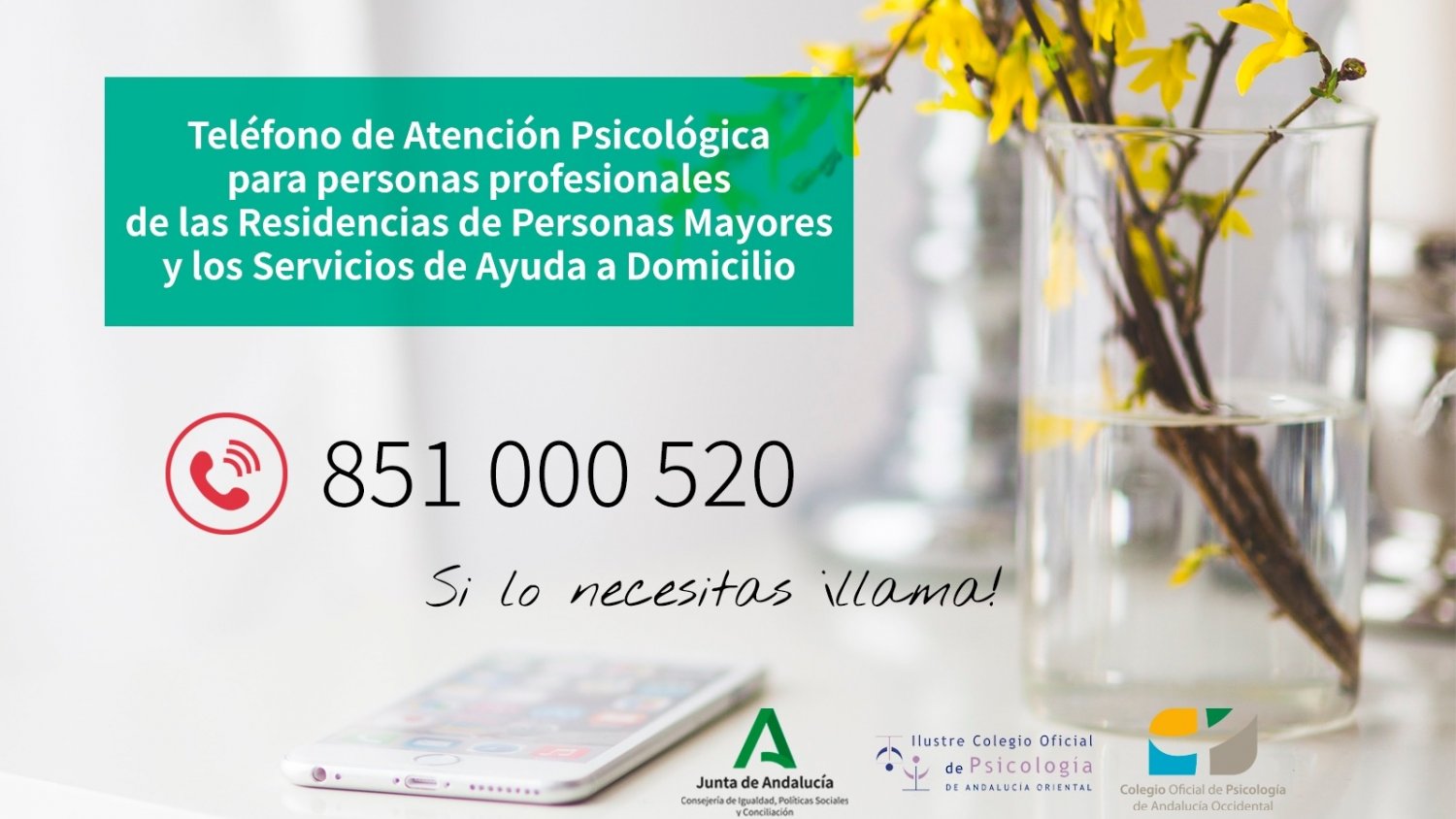 Igualdad y psicólogos ponen en marcha un teléfono de atención para profesionales de ayuda a domicilio y residencias