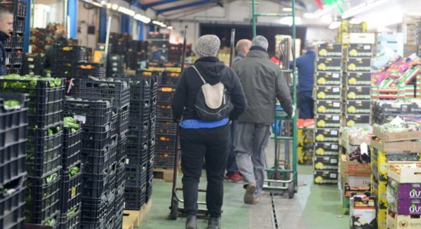 Mercamálaga dice continuar garantizando el suministro a los mercados municipales y a las tiendas minoristas