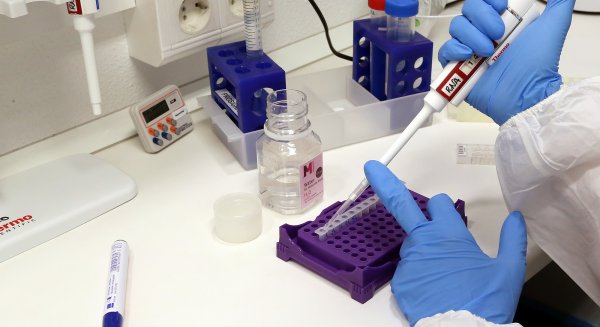 La UMA ofrece infraestructura y personal para realizar la prueba de diagnóstico del coronavirus
