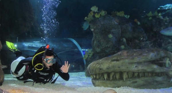 Sealife Benalmádena permanecerá cerrado hasta que lo indiquen las autoridades