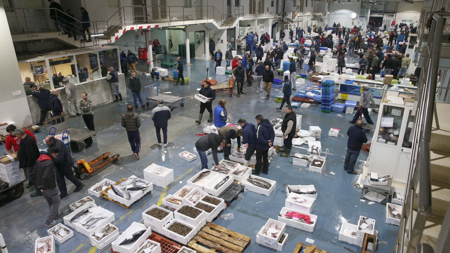 Mercamálaga permanece abierto y con total normalidad ante la situación del coronavirus