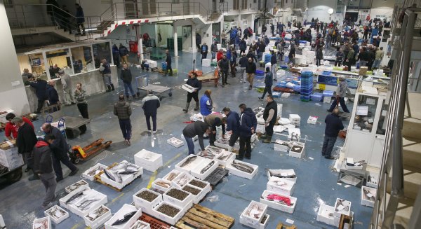 Mercamálaga permanece abierto y con total normalidad ante la situación del coronavirus