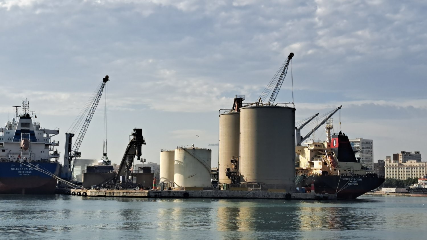 El Puerto de Málaga mueve cerca de 60.000 toneladas de agro durante esta semana