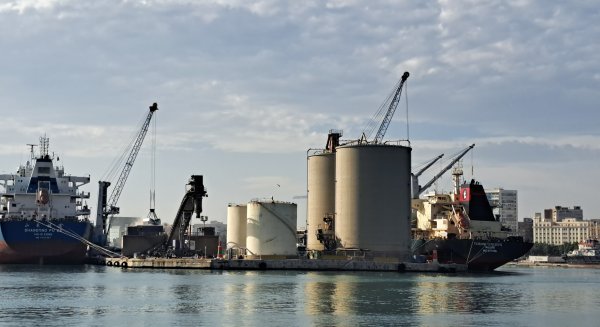 El Puerto de Málaga mueve cerca de 60.000 toneladas de agro durante esta semana