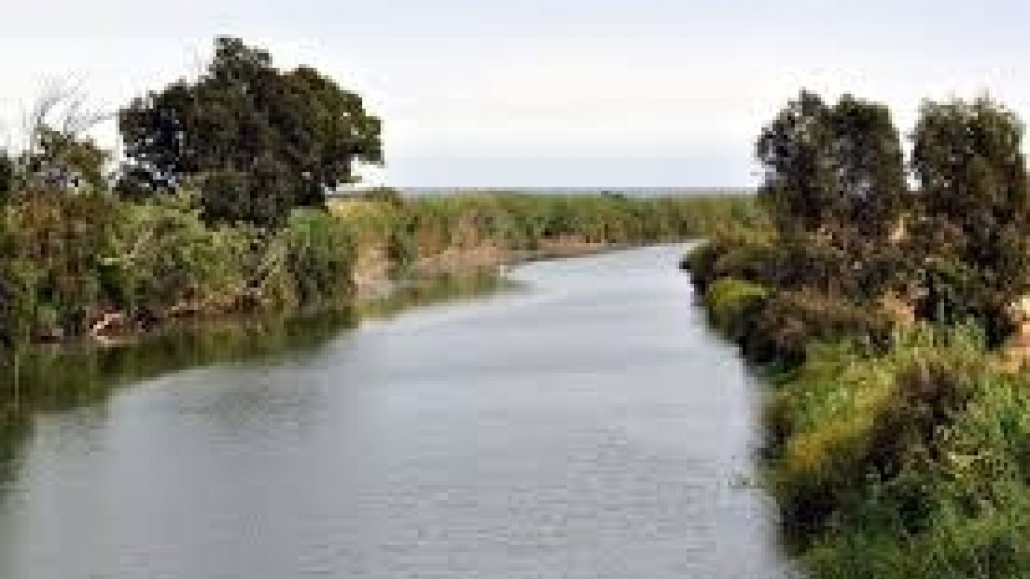 Aplazadas las arboladas y la campaña de limpieza en el río Guadalhorce por el coronavirus