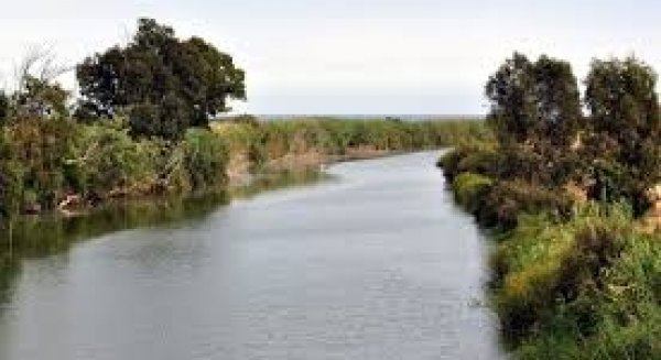Aplazadas las arboladas y la campaña de limpieza en el río Guadalhorce por el coronavirus