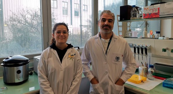 UMA.- Investigadores de la Universidad consiguen una ayuda de la Sociedad Española de Cardiología