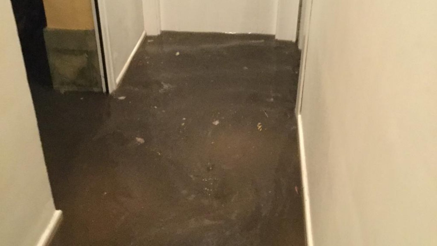 VOX Málaga pide al Ayuntamiento atender a una vecina de El Palo que sufre inundaciones en su domicilio