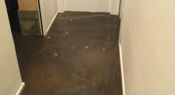 VOX Málaga pide al Ayuntamiento atender a una vecina de El Palo que sufre inundaciones en su domicilio