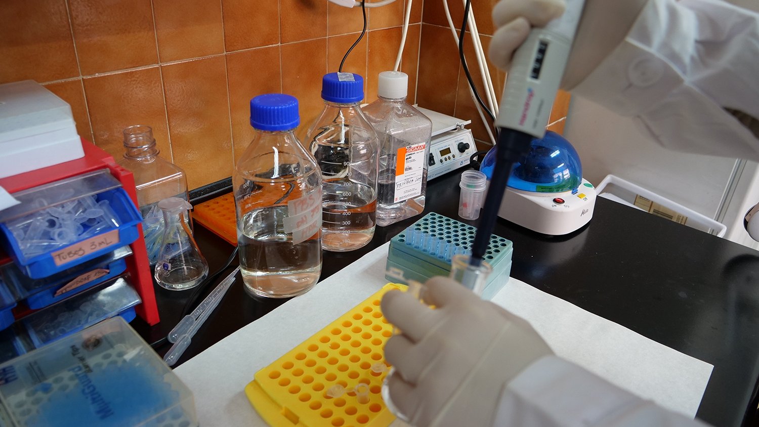 La Universidad de Málaga abre una convocatoria pública para contratar a 31 jóvenes investigadores
