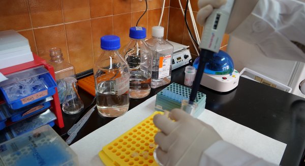 La Universidad de Málaga abre una convocatoria pública para contratar a 31 jóvenes investigadores