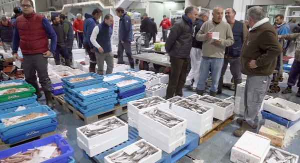 Mercamálaga extrana página web a fin de ofrecer un servicio 