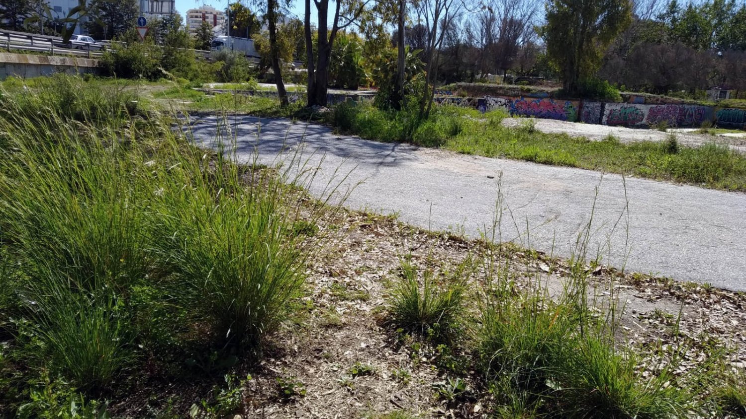 El PSOE insta a Diputación, Junta y Fuengirola a colaborar para construir una residencia en el municipio