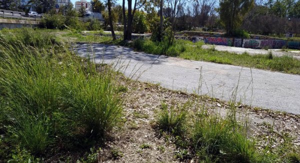 El PSOE insta a Diputación, Junta y Fuengirola a colaborar para construir una residencia en el municipio
