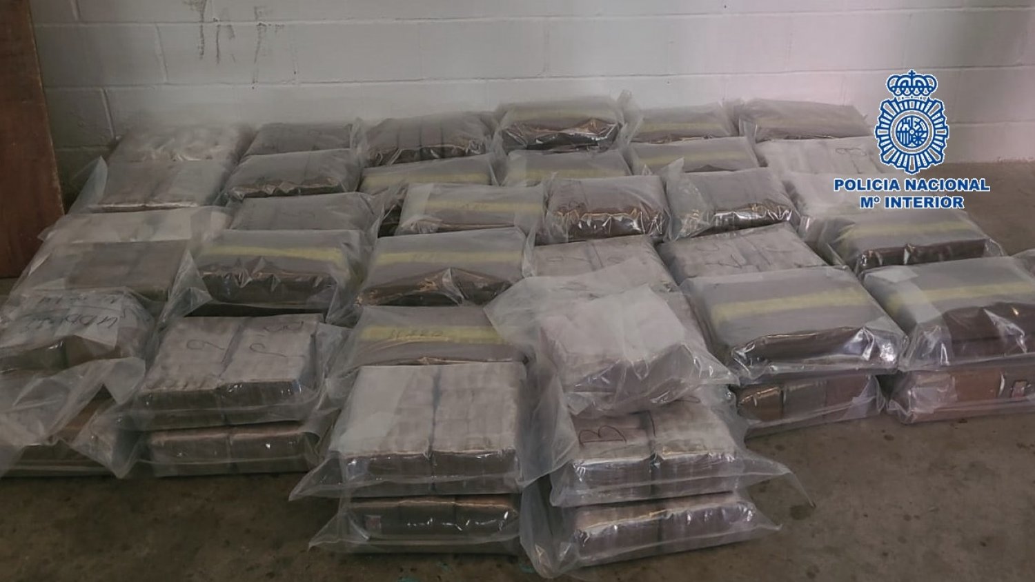 Desarticulada una organización criminal dedicada al transporte internacional de droga