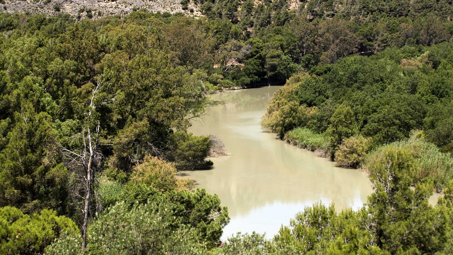 La Diputación se une a una iniciativa para retirar basuras en cuatro zonas del río Guadalhorce