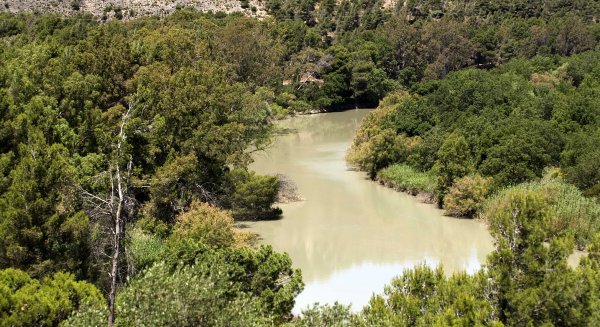 La Diputación se une a una iniciativa para retirar basuras en cuatro zonas del río Guadalhorce