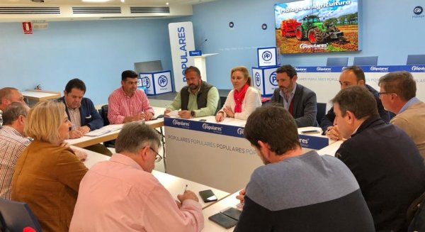 El PP exige al Gobierno que afronte el debate de los precios y costes justos para el campo malagueño