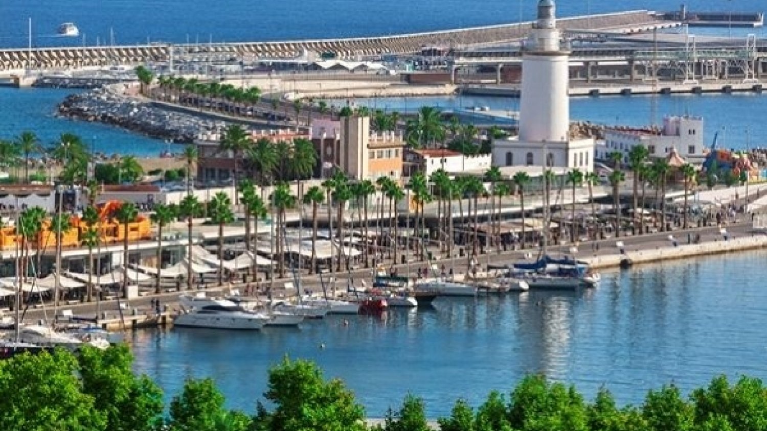 La Autoridad Portuaria de Málaga aprueba iniciar la primera fase del ajardinamiento del recinto portuario