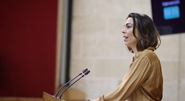 Cs Málaga pregunta al Gobierno andaluz por las medidas para prevenir las inundaciones en Málaga