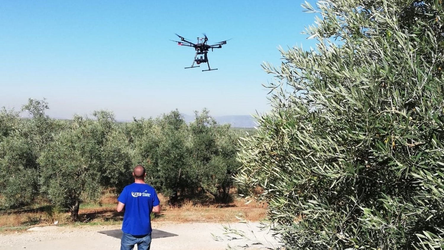Asaja Málaga destaca la importancia de la aplicación de las nuevas tecnologías al olivar