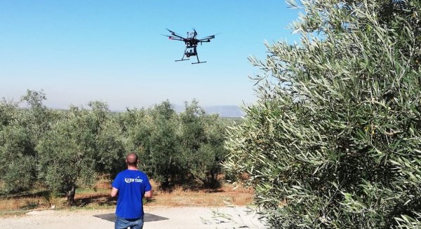 Asaja Málaga destaca la importancia de la aplicación de las nuevas tecnologías al olivar