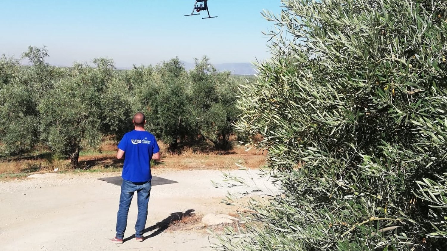 Asaja Málaga destaca la importancia de la aplicación de las nuevas tecnologías al olivar
